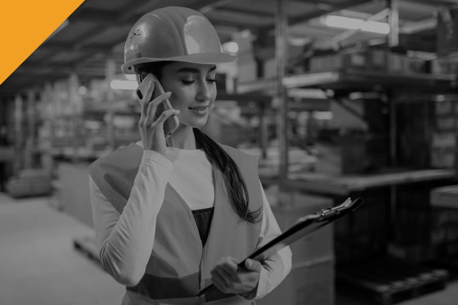 RSPP Modulo C - Aula Virtuale - id.256 (terminato)